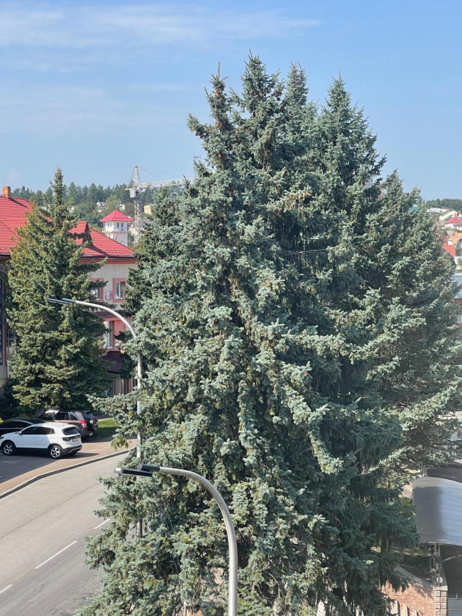 Hotel Villa Sofia トラスコヴェッツ エクステリア 写真